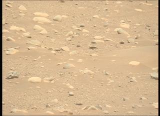 View image taken on Mars, Mars Perseverance Sol 878: Left Mastcam-Z Camera