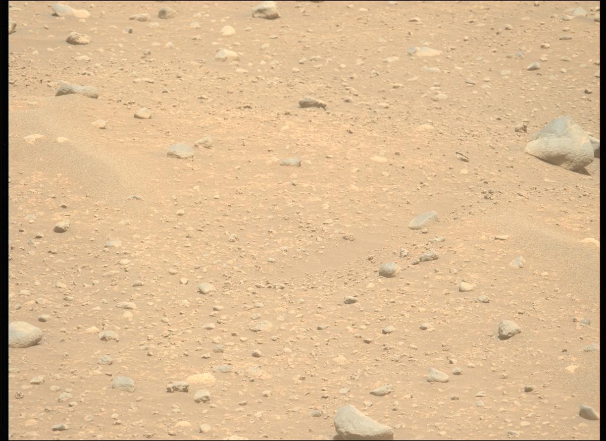 This image was taken by MCZ_LEFT onboard NASA's Mars rover Perseverance on Sol 878