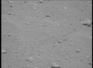 View image taken on Mars, Mars Perseverance Sol 878: Left Mastcam-Z Camera