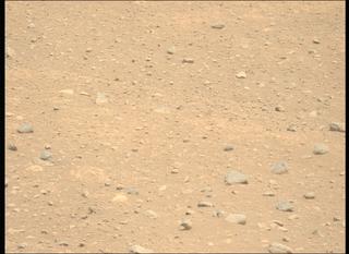 View image taken on Mars, Mars Perseverance Sol 878: Left Mastcam-Z Camera