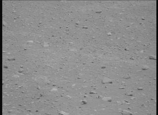 View image taken on Mars, Mars Perseverance Sol 878: Left Mastcam-Z Camera