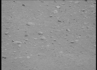 View image taken on Mars, Mars Perseverance Sol 878: Left Mastcam-Z Camera