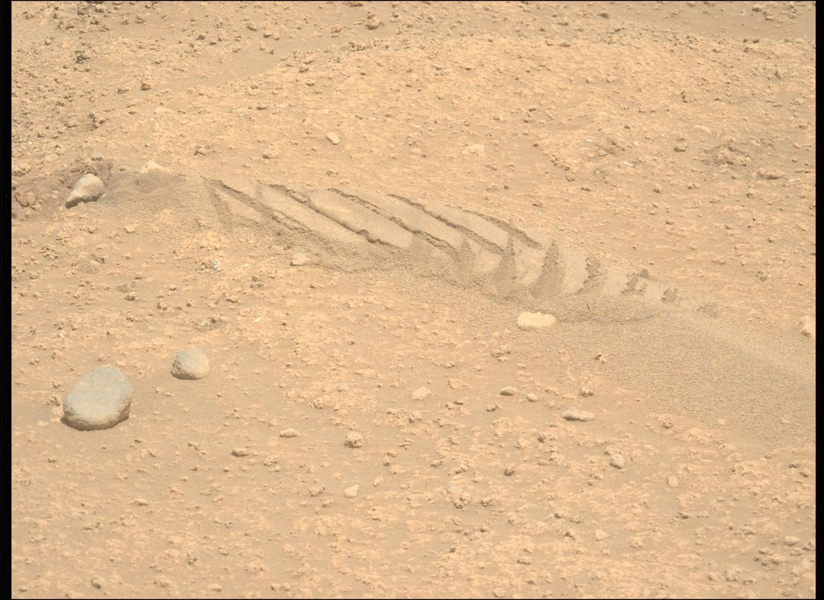 This image was taken by MCZ_LEFT onboard NASA's Mars rover Perseverance on Sol 878