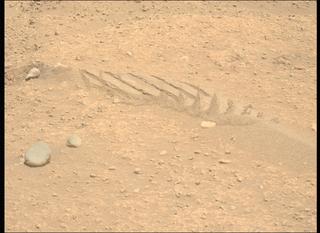 View image taken on Mars, Mars Perseverance Sol 878: Left Mastcam-Z Camera