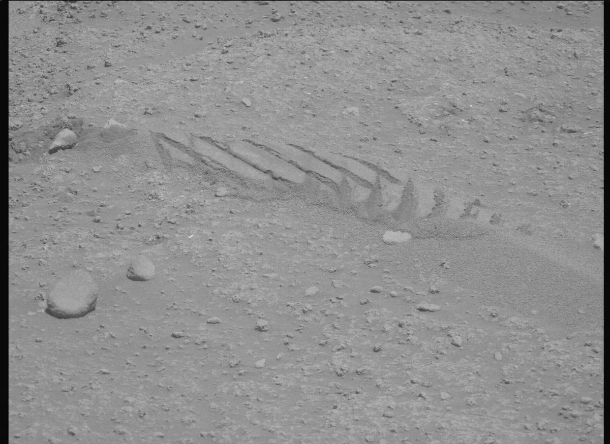 This image was taken by MCZ_LEFT onboard NASA's Mars rover Perseverance on Sol 878