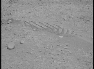 View image taken on Mars, Mars Perseverance Sol 878: Left Mastcam-Z Camera