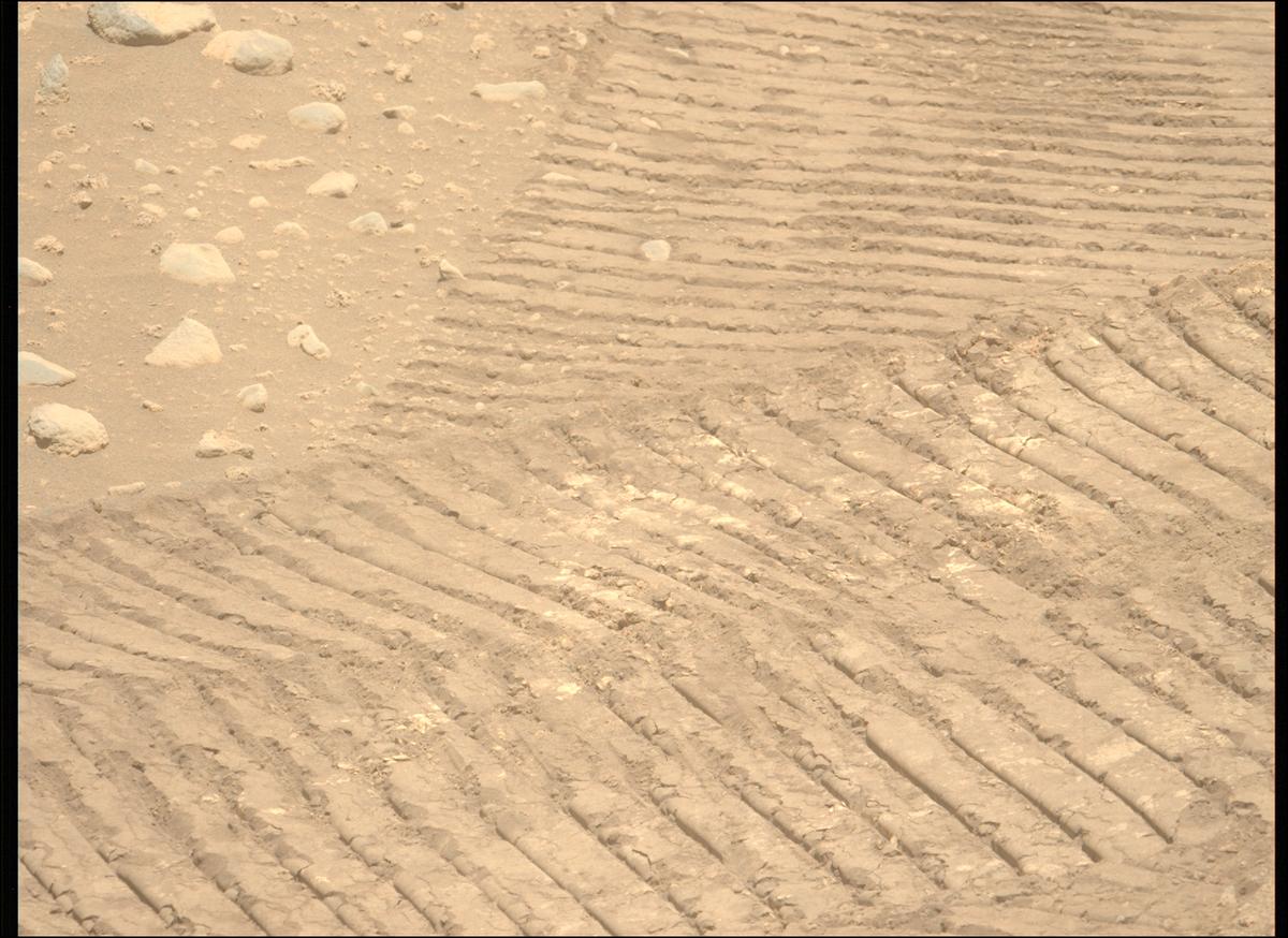 This image was taken by MCZ_LEFT onboard NASA's Mars rover Perseverance on Sol 878