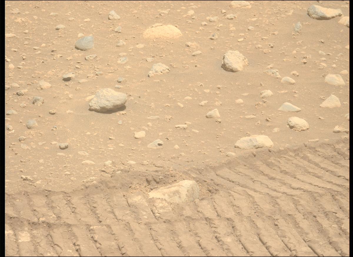 This image was taken by MCZ_LEFT onboard NASA's Mars rover Perseverance on Sol 878