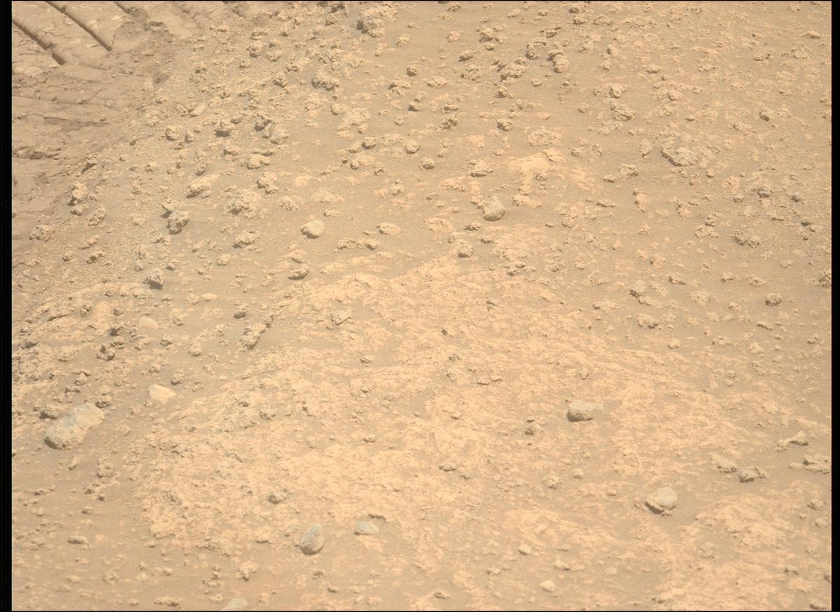 This image was taken by MCZ_LEFT onboard NASA's Mars rover Perseverance on Sol 878