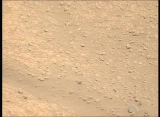 View image taken on Mars, Mars Perseverance Sol 878: Left Mastcam-Z Camera