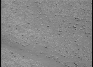 View image taken on Mars, Mars Perseverance Sol 878: Left Mastcam-Z Camera