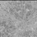 View image taken on Mars, Mars Perseverance Sol 878: Right Mastcam-Z Camera