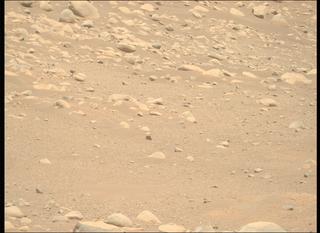 View image taken on Mars, Mars Perseverance Sol 878: Right Mastcam-Z Camera