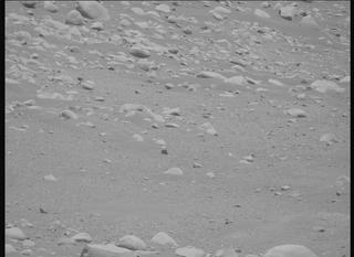 View image taken on Mars, Mars Perseverance Sol 878: Right Mastcam-Z Camera