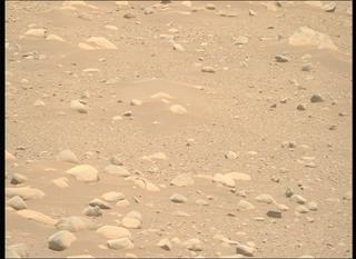 View image taken on Mars, Mars Perseverance Sol 878: Right Mastcam-Z Camera