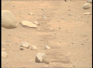 View image taken on Mars, Mars Perseverance Sol 878: Right Mastcam-Z Camera