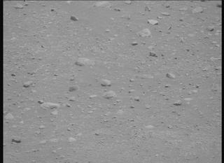 View image taken on Mars, Mars Perseverance Sol 878: Right Mastcam-Z Camera