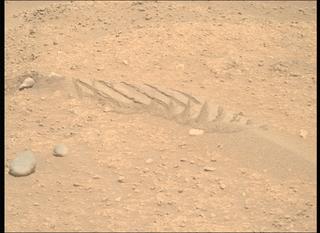 View image taken on Mars, Mars Perseverance Sol 878: Right Mastcam-Z Camera