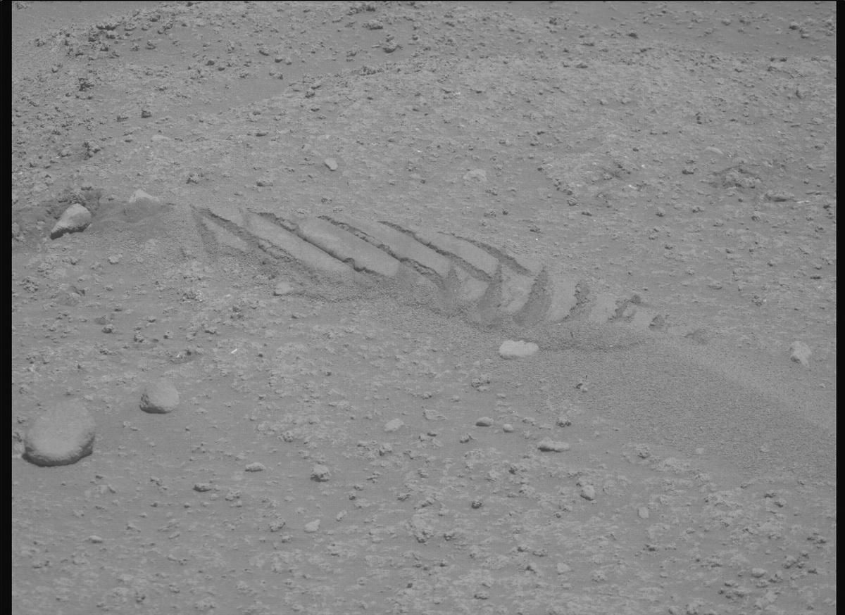 This image was taken by MCZ_RIGHT onboard NASA's Mars rover Perseverance on Sol 878