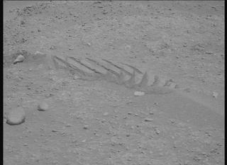 View image taken on Mars, Mars Perseverance Sol 878: Right Mastcam-Z Camera