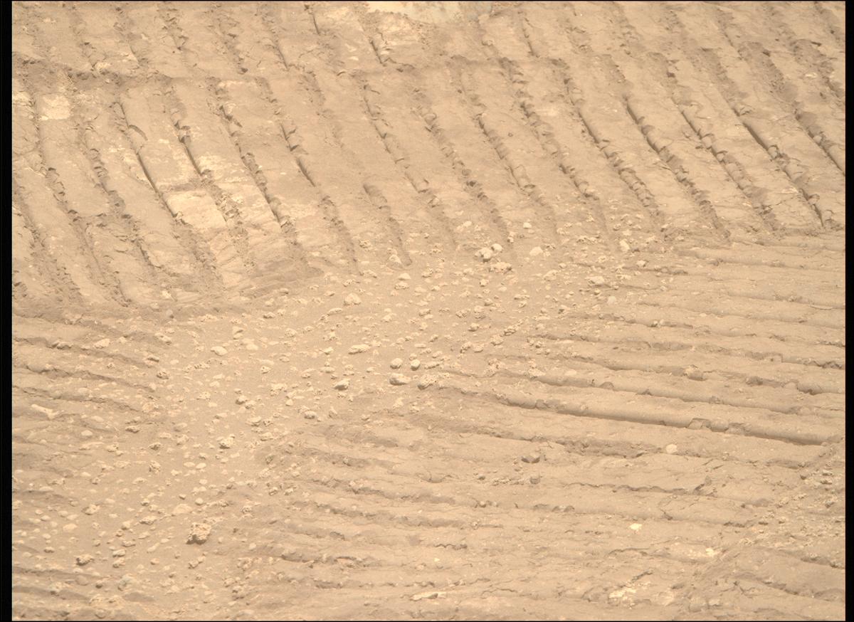 This image was taken by MCZ_RIGHT onboard NASA's Mars rover Perseverance on Sol 878