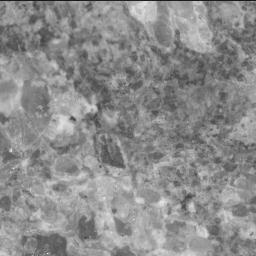 View image taken on Mars, Mars Perseverance Sol 879: SHERLOC ACI Camera 