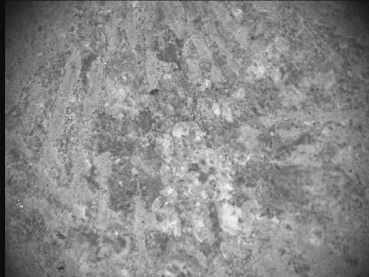 This image was taken by SHERLOC_ACI onboard NASA's Mars rover Perseverance on Sol 879