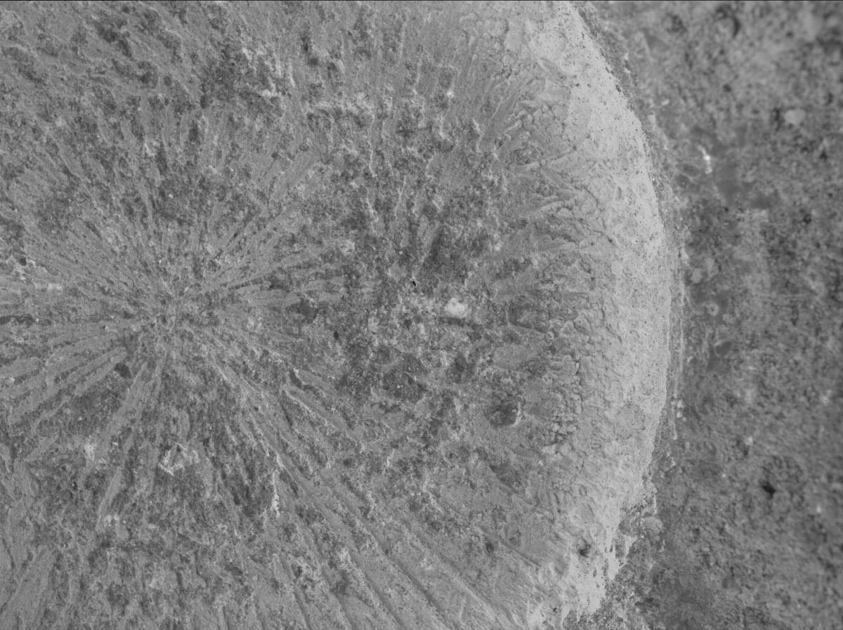 This image was taken by SHERLOC_WATSON onboard NASA's Mars rover Perseverance on Sol 879