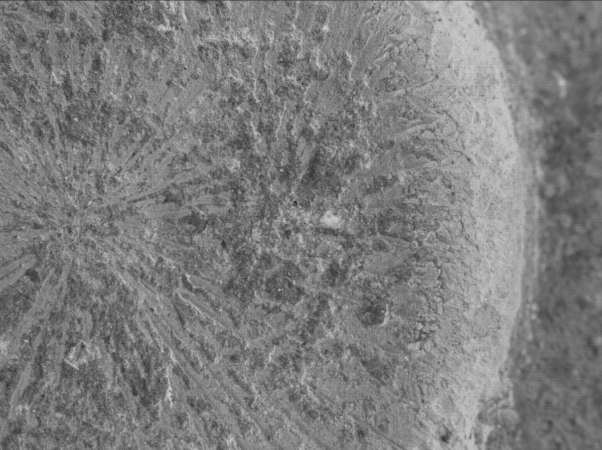 This image was taken by SHERLOC_WATSON onboard NASA's Mars rover Perseverance on Sol 879