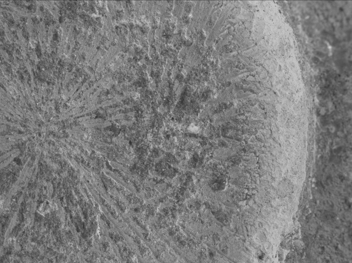 This image was taken by SHERLOC_WATSON onboard NASA's Mars rover Perseverance on Sol 879