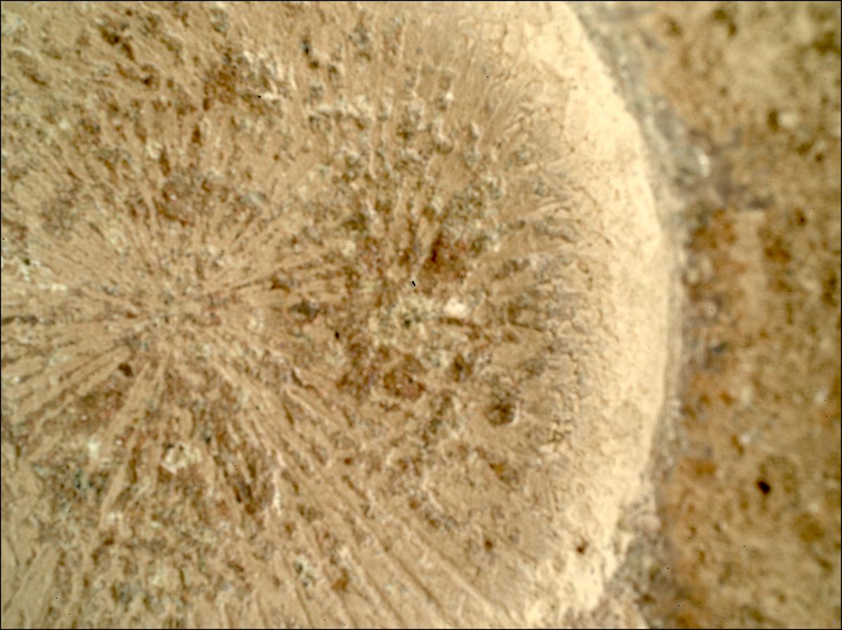 This image was taken by SHERLOC_WATSON onboard NASA's Mars rover Perseverance on Sol 879