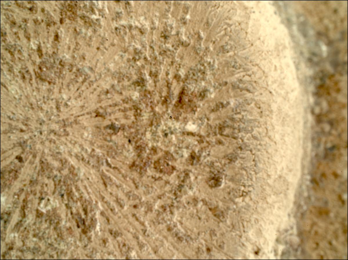 This image was taken by SHERLOC_WATSON onboard NASA's Mars rover Perseverance on Sol 879