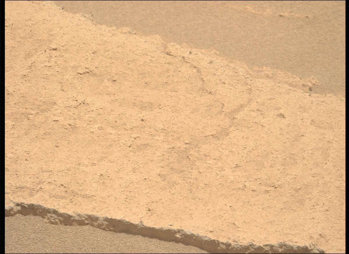 This image was taken by MCZ_LEFT onboard NASA's Mars rover Perseverance on Sol 879