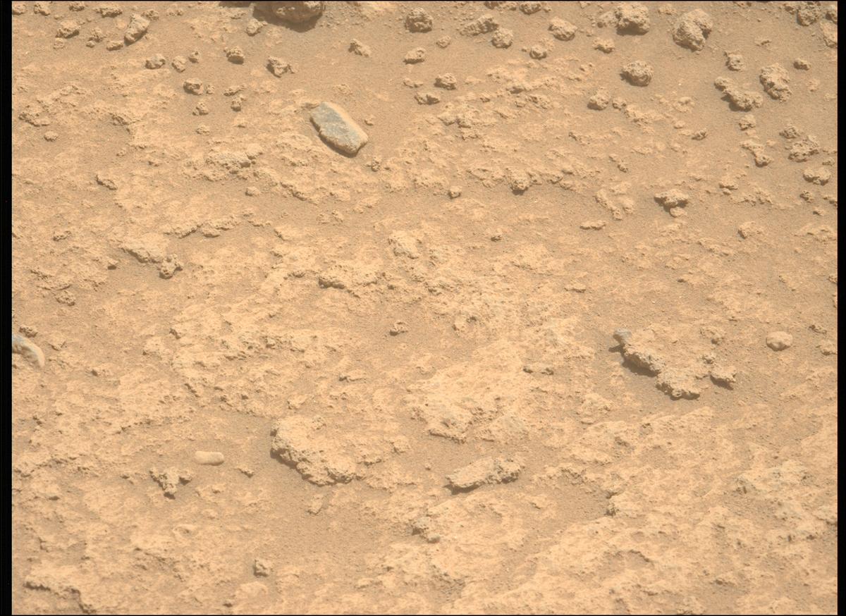 This image was taken by MCZ_LEFT onboard NASA's Mars rover Perseverance on Sol 879