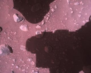 View image taken on Mars, Mars Perseverance Sol 881: Rover Down-Look Camera