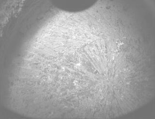 View image taken on Mars, Mars Perseverance Sol 881: PIXL Camera 