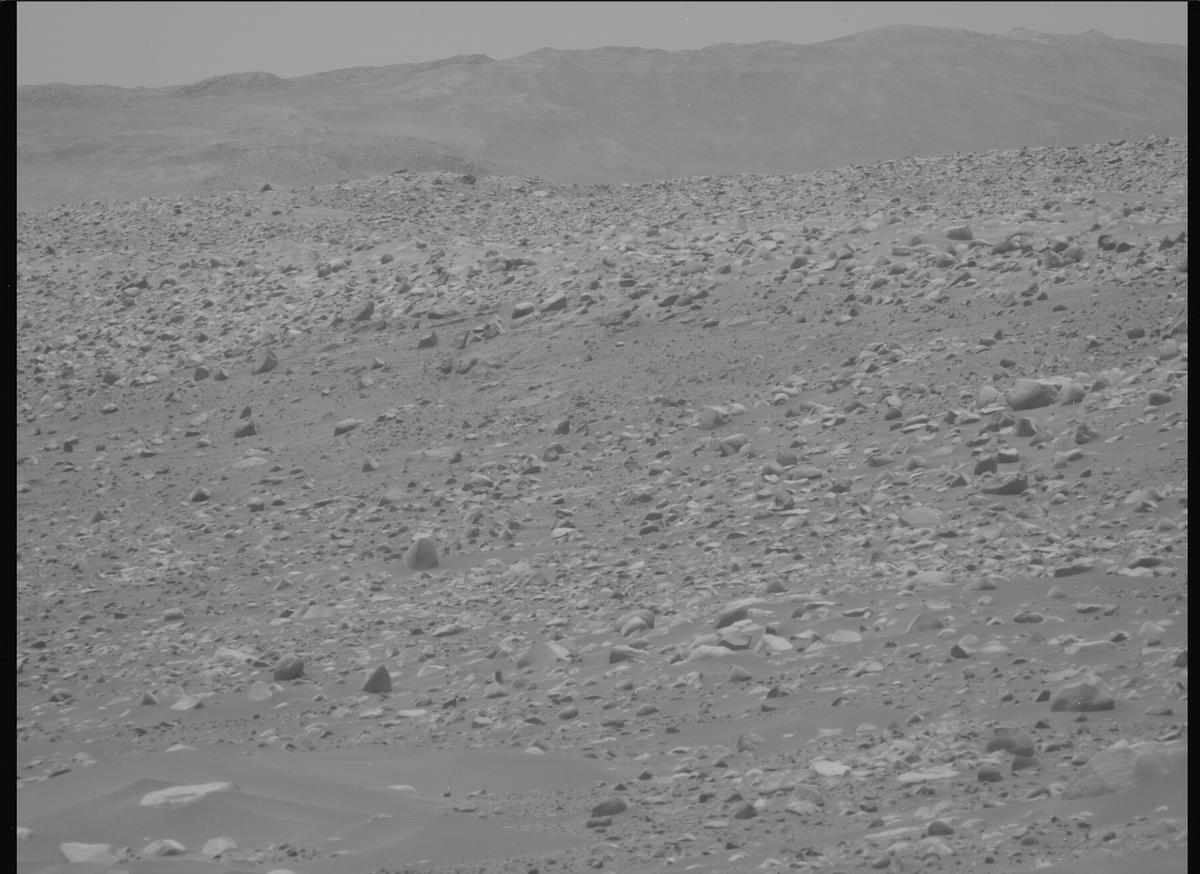 This image was taken by MCZ_LEFT onboard NASA's Mars rover Perseverance on Sol 881