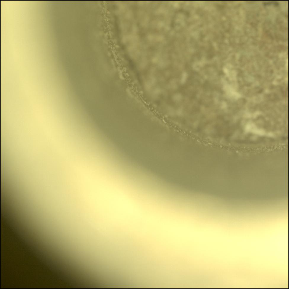 This image was taken by CACHECAM onboard NASA's Mars rover Perseverance on Sol 882