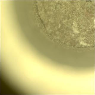 View image taken on Mars, Mars Perseverance Sol 882: Sample Caching System Camera (CacheCam)