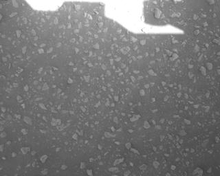 View image taken on Mars, Mars Perseverance Sol 882: Rover Down-Look Camera