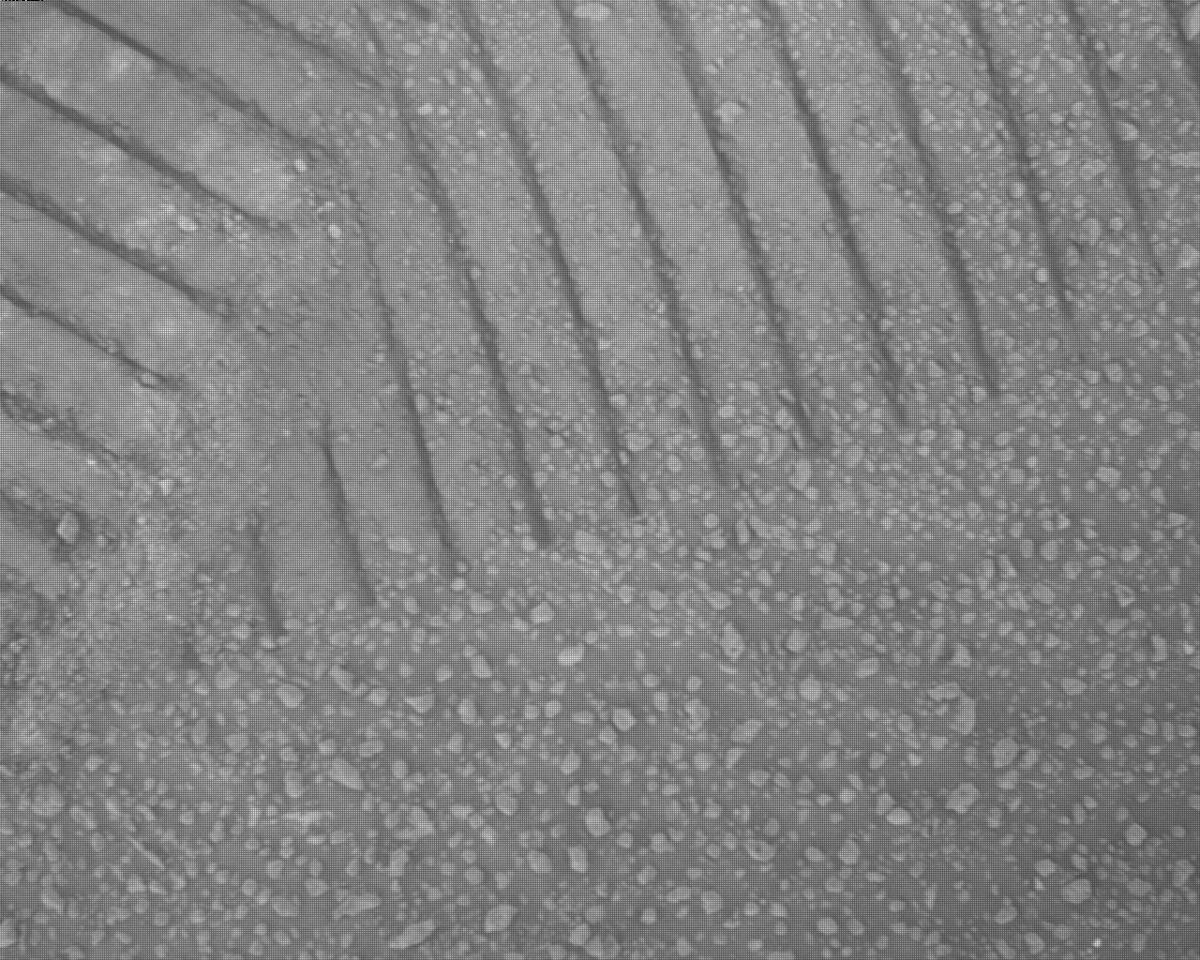 This image was taken by EDL_RDCAM onboard NASA's Mars rover Perseverance on Sol 882