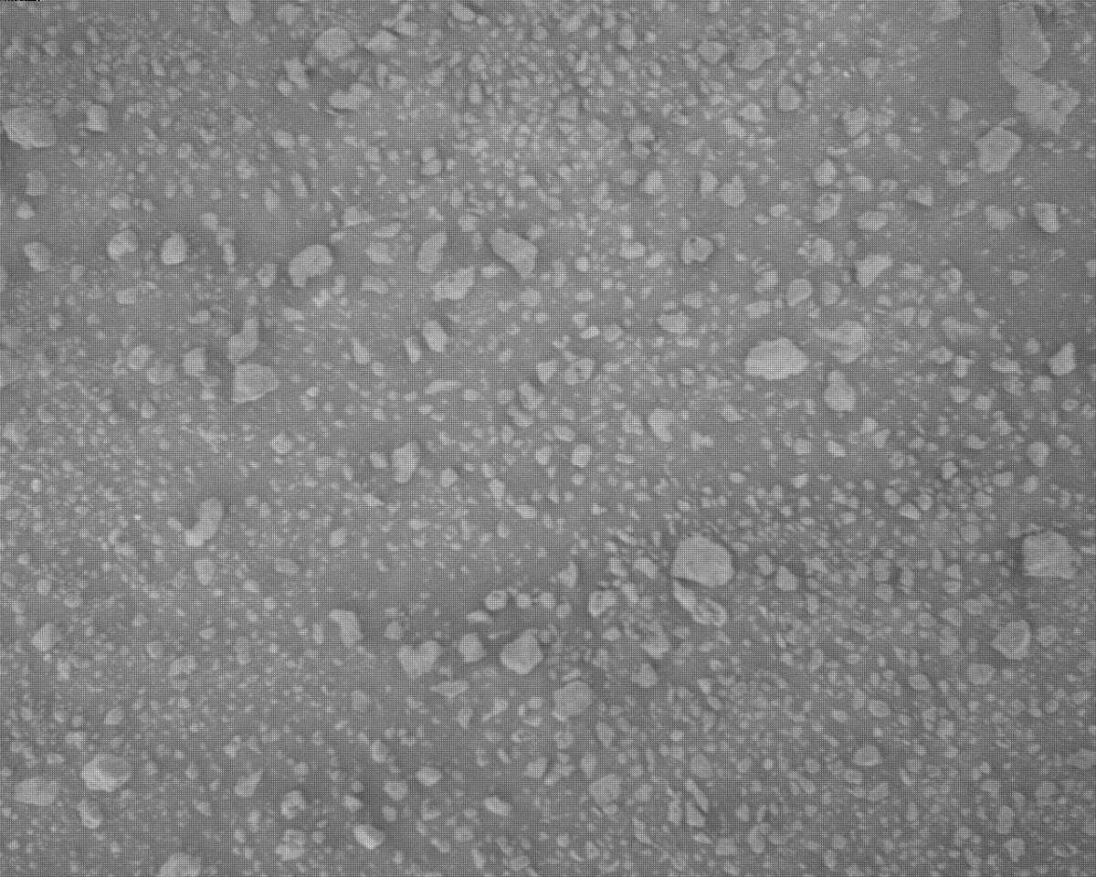 This image was taken by EDL_RDCAM onboard NASA's Mars rover Perseverance on Sol 882