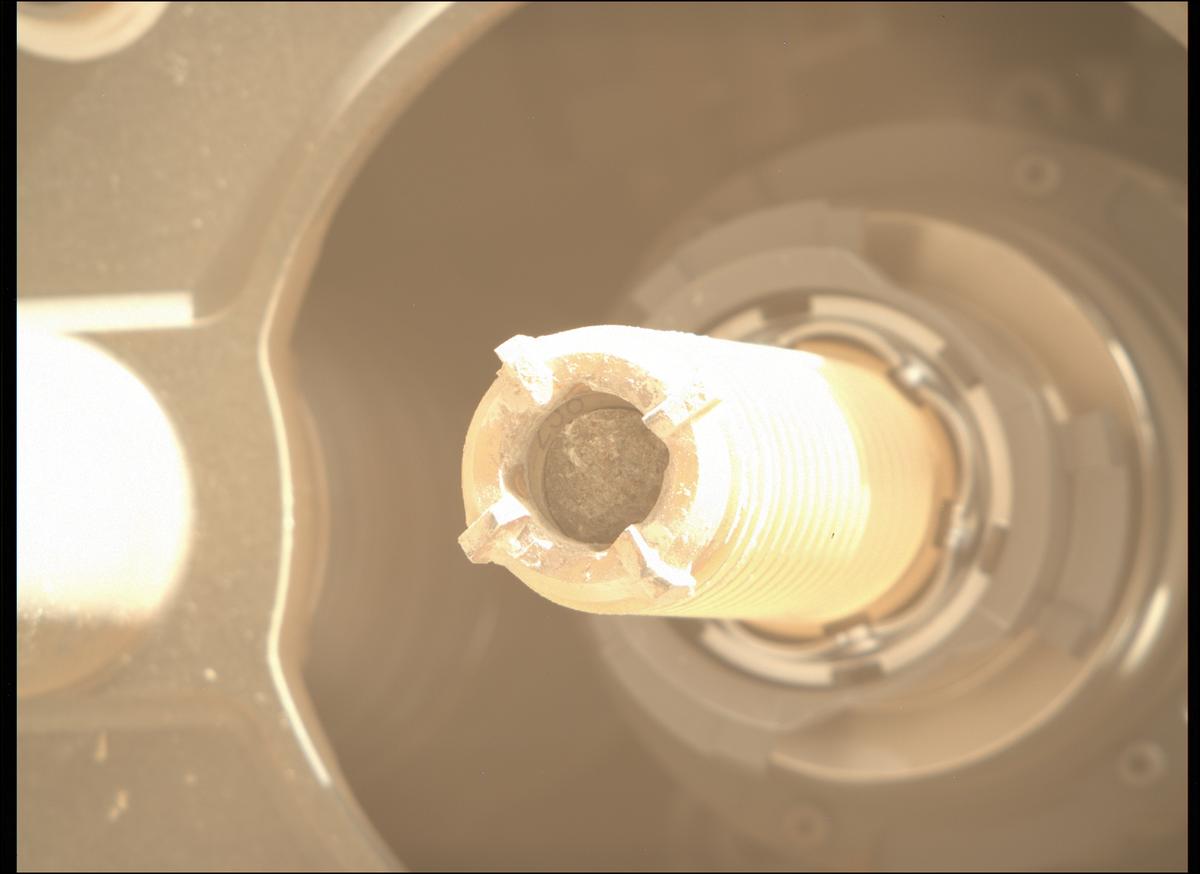 This image was taken by MCZ_RIGHT onboard NASA's Mars rover Perseverance on Sol 882