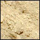 View image taken on Mars, Mars Perseverance Sol 884: Left Mastcam-Z Camera