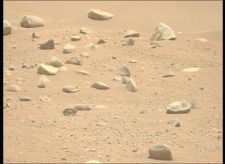 View image taken on Mars, Mars Perseverance Sol 884: Left Mastcam-Z Camera