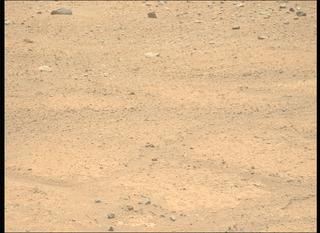 View image taken on Mars, Mars Perseverance Sol 884: Left Mastcam-Z Camera