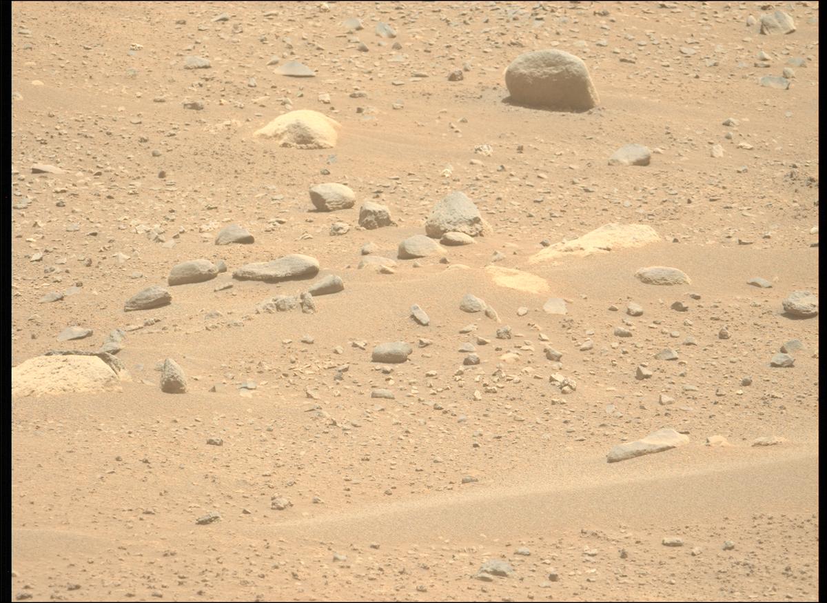 This image was taken by MCZ_LEFT onboard NASA's Mars rover Perseverance on Sol 884