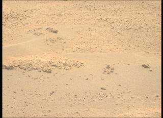 View image taken on Mars, Mars Perseverance Sol 884: Left Mastcam-Z Camera