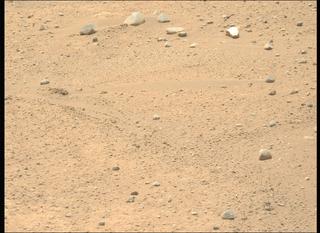 View image taken on Mars, Mars Perseverance Sol 884: Left Mastcam-Z Camera