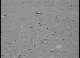 View image taken on Mars, Mars Perseverance Sol 884: Right Mastcam-Z Camera